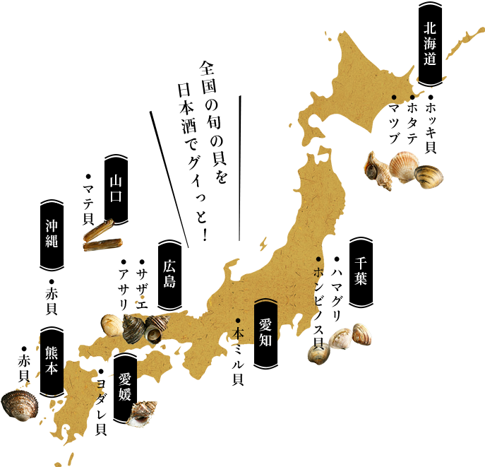 日本地図,貝