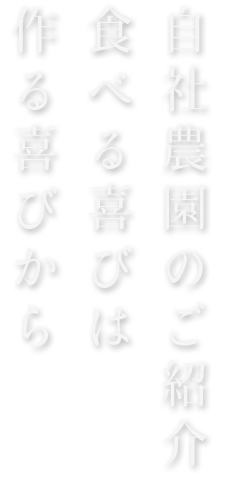 自社農園のご紹介