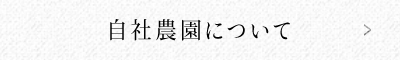 自社農園について