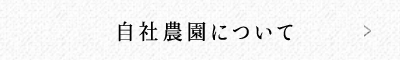 自社農園について