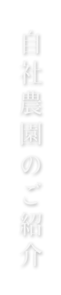 自社農園のご紹介