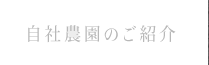 自社農園のご案内