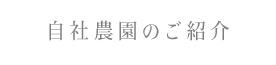 自社農園のご案内