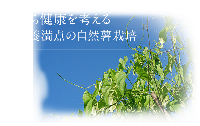 食から健康を考える