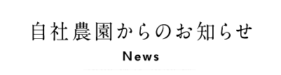 自社農園からのお知らせ