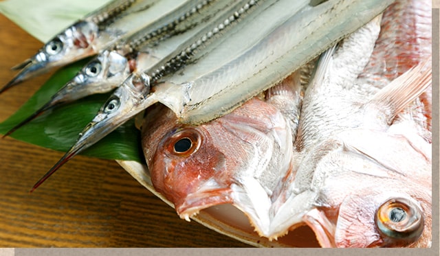 魚の干物