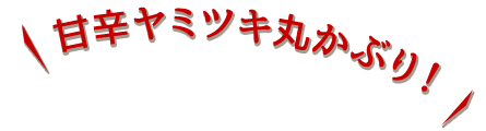 甘辛ヤミツキ